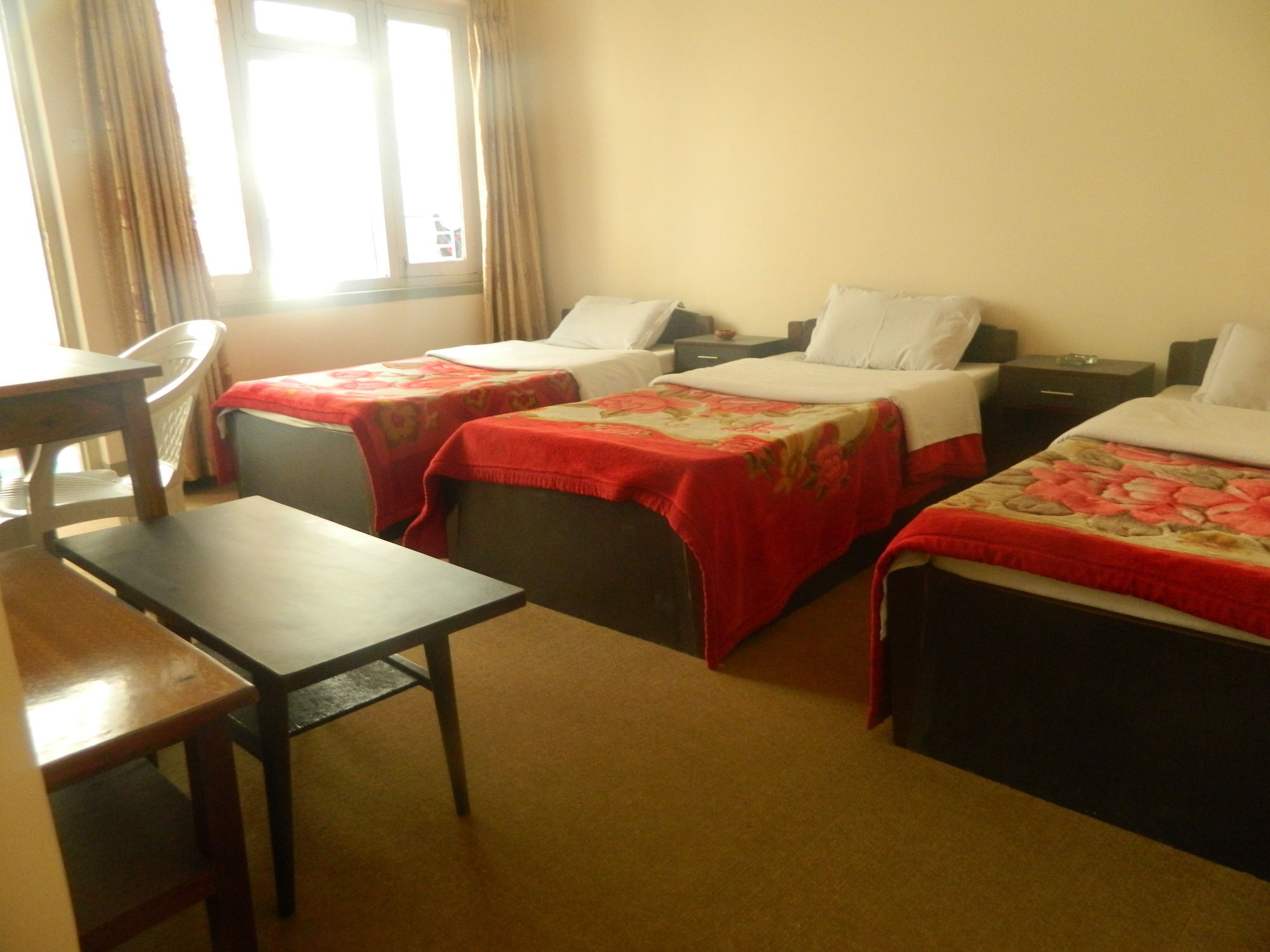 Om Tara Guest House Pvt Ltd Катманду Экстерьер фото